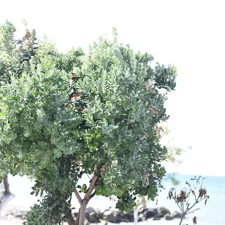 Vakantiehuis Family 1 *