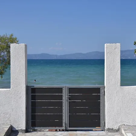 Vakantiehuis Family 1