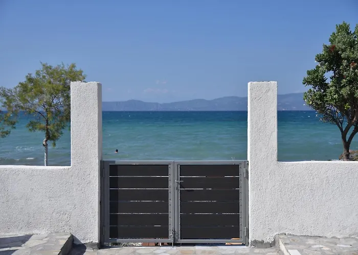 Dom wakacyjny Family 1